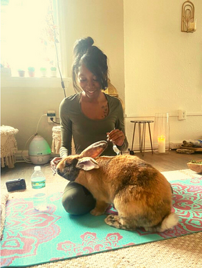 Bunnies love to be pet in the yoga session