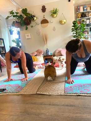 Ladies stretching at the Bunny Yoga Meditation session