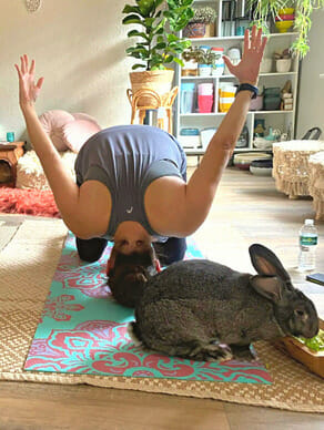 Bunny yoga pose with a bunny!